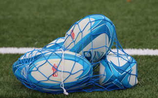 九游ios版-法国橄榄球赛事的票房和赞助收入创历史新高，法国橄榄球国家队