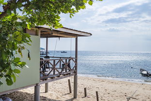 九游官方游戏-绿色场馆覆盖智能环保系统，推动全球体育绿色低碳行动，绿色场馆建设