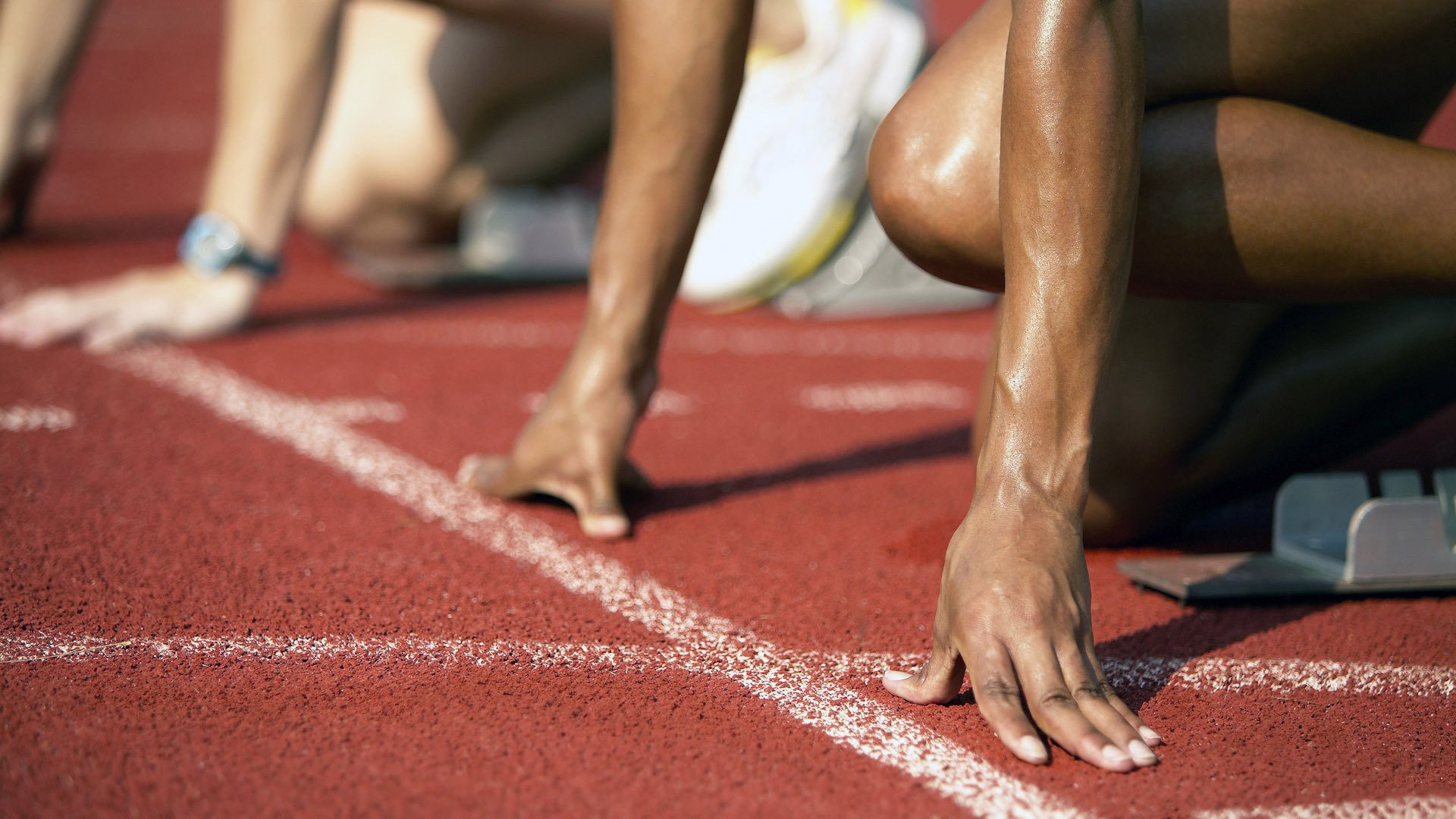 跳水动作难度升级荷兰挑战成功，跳水 execution