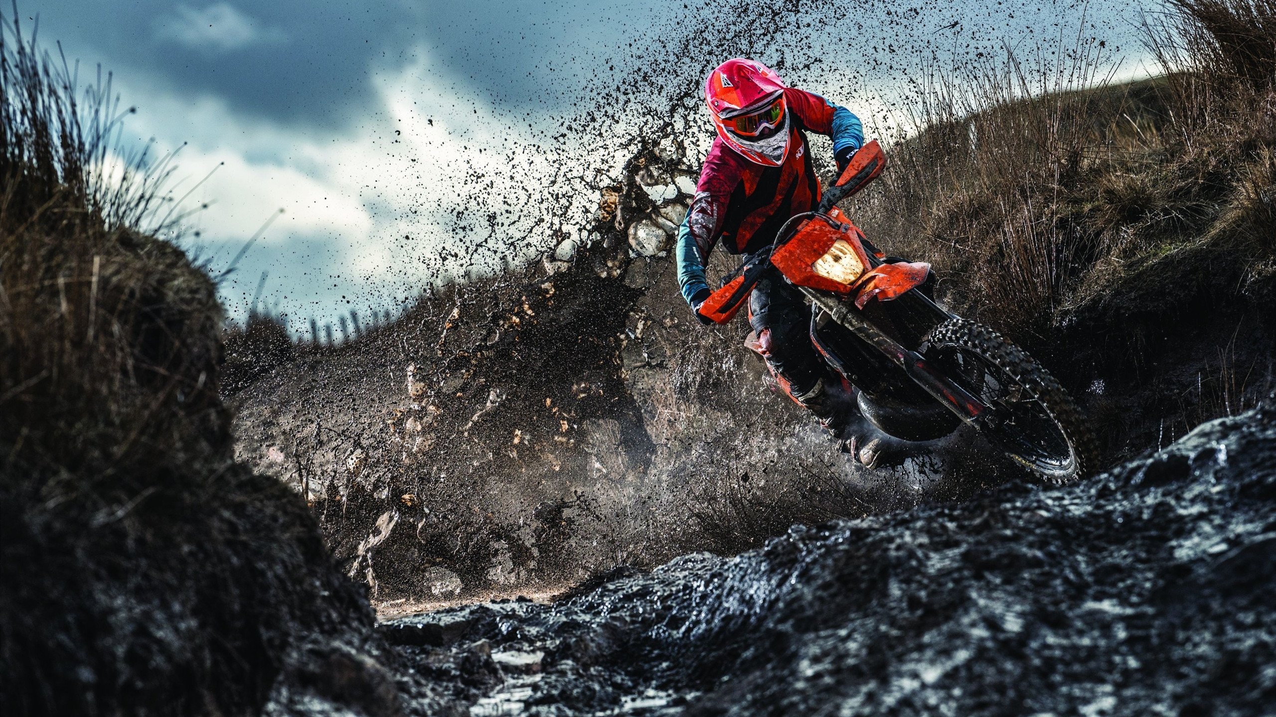 马克·阿特金森：南非羚羊队的锋线闪电，马克·阿特金斯